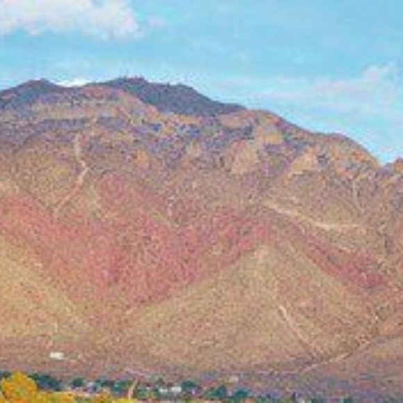 Meet your Posher, Norma - Picture 3 of 6